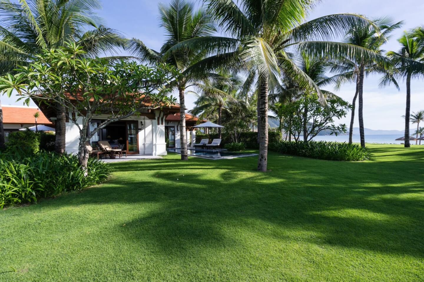 Cỏ paspalum cho resort Cam Ranh